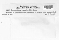 Image Associated With the Occurence